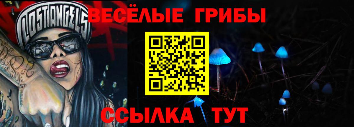 Тара  Псилоцибиновые грибы Psilocybe  Вход с VPN  дарнет шоп  Галлюциногенные грибы MAGIC MUSHROOMS 